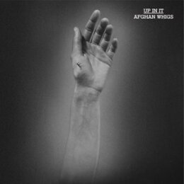 AFGHAN WHIGS, THE - UP IN IT - LPD