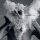 AFGHAN WHIGS, THE - DO TO THE BEAST - LP