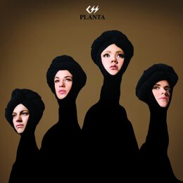 CSS - Planta - LP + MP3