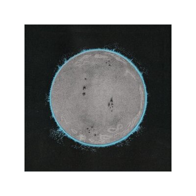 ENDLESS BOOGIE - VIBE KILLER - CD