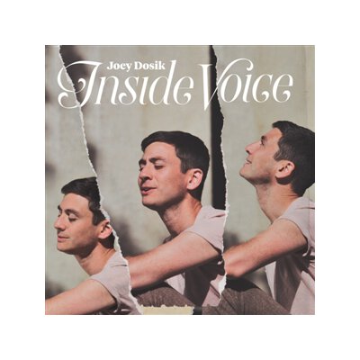 DOSIK, JOEY - INSIDE VOICE - CD