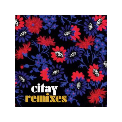CITAY - REMIXES - LP