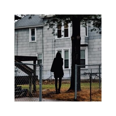 TALLEST MAN ON EARTH, THE - DARK BIRD IS HOME - LP