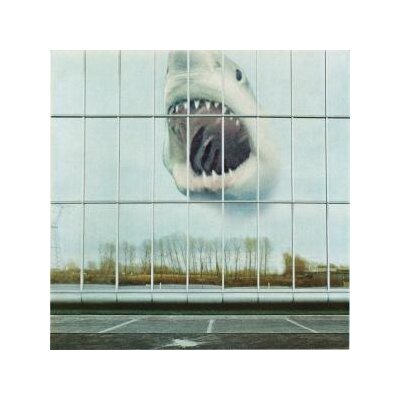 BLACK MOUNTAIN - WILDERNESS HEART - CD