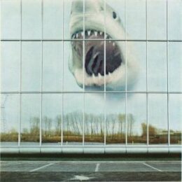 BLACK MOUNTAIN - WILDERNESS HEART - CD