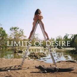 SMALL BLACK - LIMITS OF DESIRE - LP