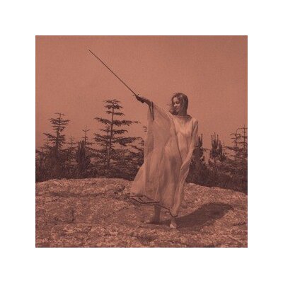 UNKNOWN MORTAL ORCHESTRA - II - CD