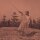 UNKNOWN MORTAL ORCHESTRA - II - CD