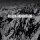 BLACK MOUNTAIN - BLACK MOUNTAIN (10TH ANNIVERSARY DELUXE EDITION) - CD