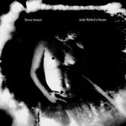 SENSOR, TREVOR - ANDY WARHOLS DREAM - CD
