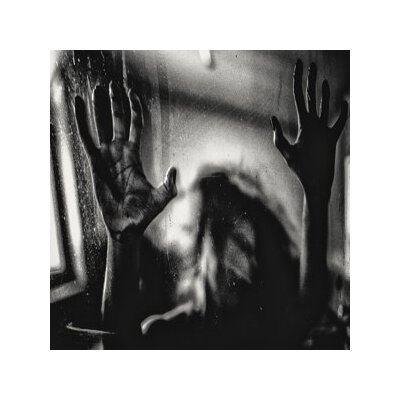 BEHIND THE SHADOW DROPS - HARMONIC - CD