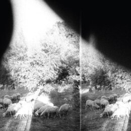 GODSPEED YOU! BLACK EMPEROR - ASUNDER, SWEET AND OTHER...