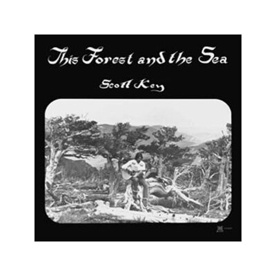 KEY, SCOTT - THIS FOREST AND THE SEA - CD