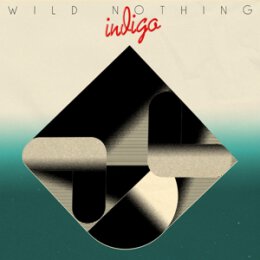 WILD NOTHING - INDIGO - CD