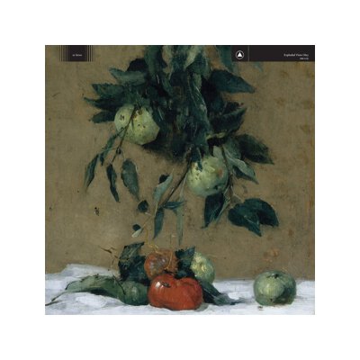 EXPLODED VIEW - OBEY - CD