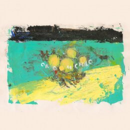 Big Ups, The - Eighteen Ours Of Static - LP + MP3