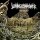 LOOKING FOR AN ANSWER - EXTINCTION - CD