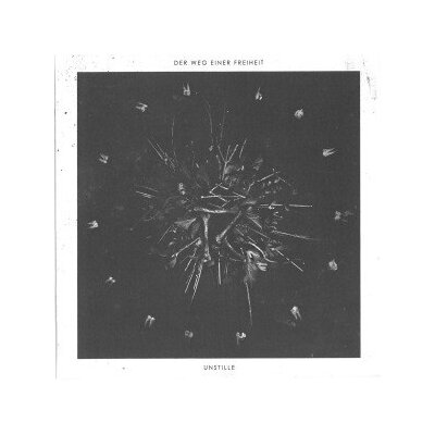 DER WEG EINER FREIHEIT - UNSTILLE - CD
