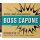 BOSS CAPONE - ANOTHER 15 DANCE FLOOR CRASHERS - CD
