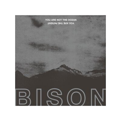 BISON - YOU ARE NOT THE OCEAN YOU ARE THE PATIENT - LPD
