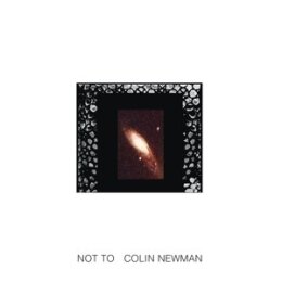NEWMAN, COLIN - NOT TO - LP
