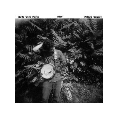 PETTY, ANDY DALE - FRICKS LAMENT - CD