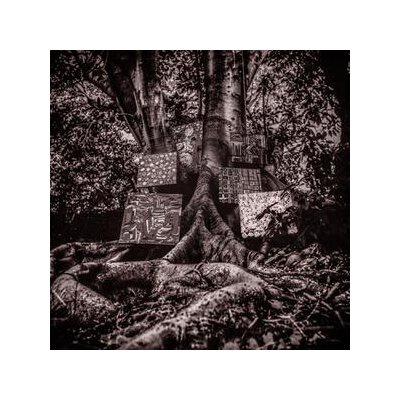 WASHINGTON, KAMASI - HARMONY OF DIFFERENCE - LP