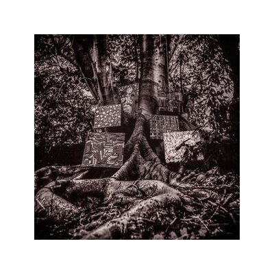 WASHINGTON, KAMASI - HARMONY OF DIFFERENCE - CD