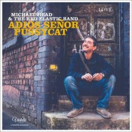 HEAD, MICHAEL & THE RED ELASTIC BAND - ADIOS SENOR...