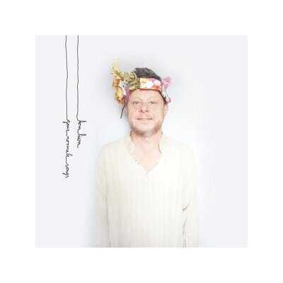 LIWA, TOM - GANZ NORMALE SONGS - LP