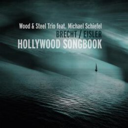 WOOD & STEEL TRIO/SCHIEFEL, MICHAEL -...
