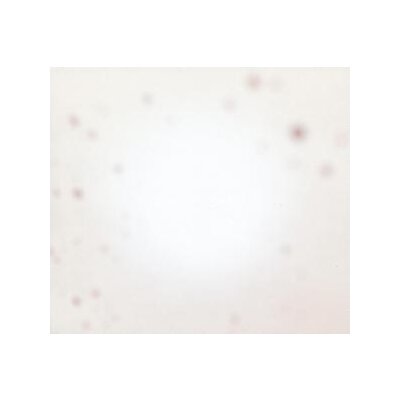 YO LA TENGO - THERES A RIOT GOING ON - LPD