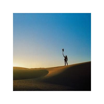 GAT, YONATAN - UNIVERSALISTS - LP