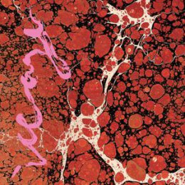 ICEAGE - BEYONDLESS - CD